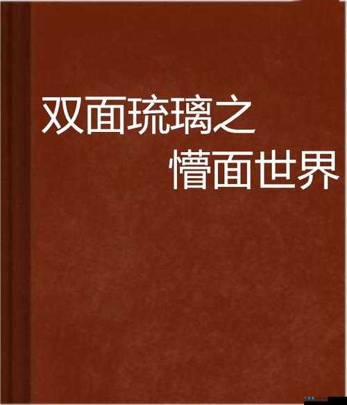 探索双面世界的无限魅力，揭秘游戏独特亮点与深度玩法