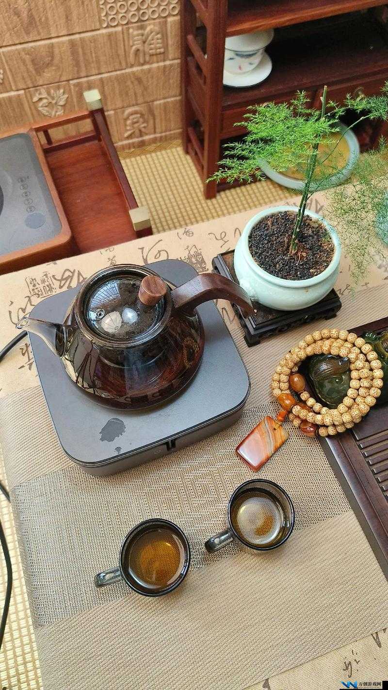 nana-taipei 茶艺课：带你领略独特的茶艺魅力与文化内涵