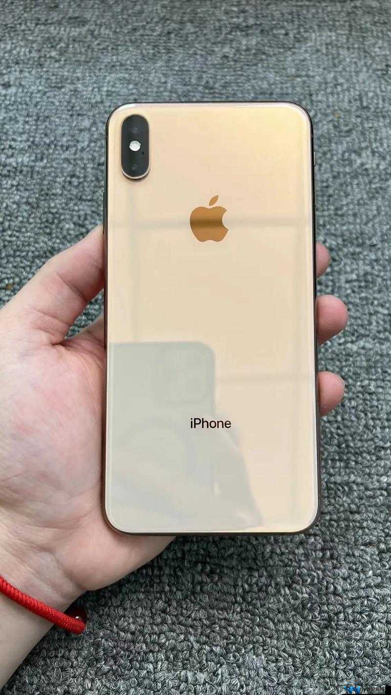 揭秘欧美 iPhone XS Max 视频重回巅峰：探索背后的真相