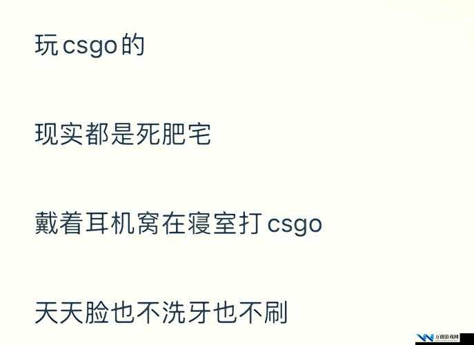 暴躁老阿姨CSGO新手技巧：带你从零基础快速入门提升