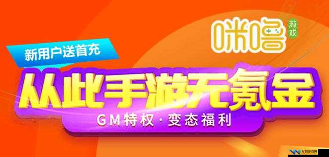 中国 x 站安装包 2024：解锁更多精彩，尽在其中